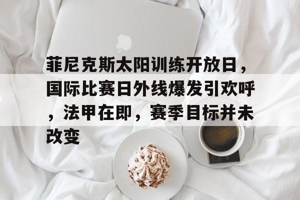 菲尼克斯太阳训练开放日，国际比赛日外线爆发引欢呼，法甲在即，赛季目标并未改变的简单介绍